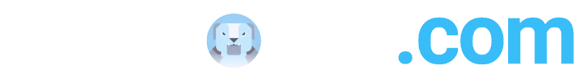 Joan Porcar